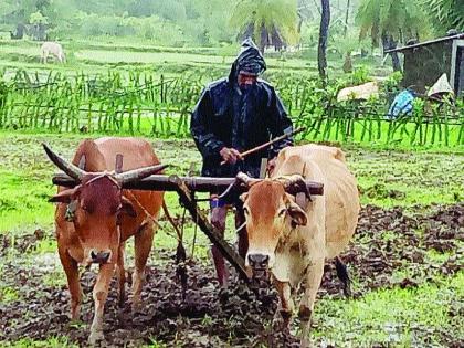 Farmers' lesson toward wood plowing | लाकडी नांगरवापराकडे शेतकऱ्यांची पाठ