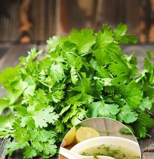 कोथिंबीर निवडताना देठ फेकता? पोषण जातंय वाया , कोथिंबीरीचे देठ वापरणे फार महत्त्वाचे कारण ..