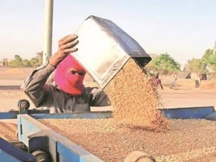 Launch of world's largest grain storage scheme by PM Narendra modi | जगातील सर्वांत मोठ्या धान्य साठवण योजनेचा शुभारंभ