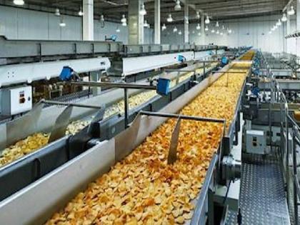 An investment of Rs.10,000 crore in the food processing industry in the state | राज्यात अन्न प्रक्रिया उद्योगात १० हजार कोटींची गुंतवणूक 