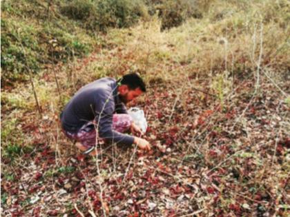 Also 'obsessed' with environmental conservation; Collection of a million seeds! The journey of a nature-loving youth | पर्यावरण संवर्धनाचे असेही ‘वेड’; एक लाख बियांचे संकलन! निसर्गप्रेमी युवकाचा प्रवास