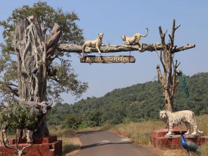 An animal count will be held in the Sahyadri Tiger Reserve tomorrow on the night of Buddha Purnima | सह्याद्री व्याघ्र प्रकल्पात उद्या रात्री प्राणी गणना होणार, मचाणावरून निसर्गप्रेमी थरारक अनुभव घेणार 