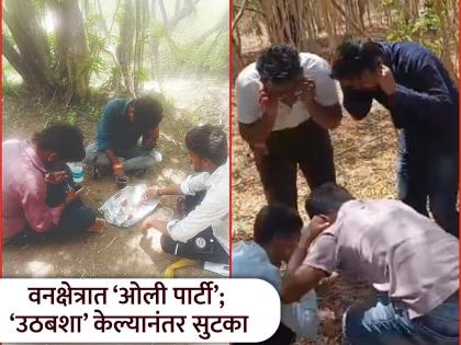 Punishment for those who break the forest dept rules; Those who hold 'Alcohol party' in forest areas will be punished with 'Uthabasha' | नियम मोडणाऱ्यांना दणका; वनक्षेत्रात ‘ओली पार्टी’ करणाऱ्यांना ‘उठबशा’ची शिक्षा Punishment for those who break the forest dept rules; Those who hold 'Alcohol party' in forest areas will be punished with 'Uthabasha' | नियम मोडणाऱ्यांना दणका; वनक्षेत्रात ‘ओली पार्टी’ करणाऱ्यांना ‘उठबशा’ची शिक्षा