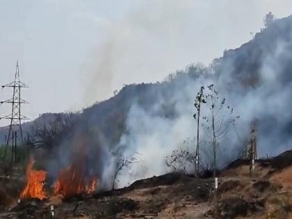 psycho make fire; Thousands of trees in the Vihar area behind the university were reduced to ashes | माथेफिरूने लावली आग; विद्यापिठामागील विहार परिसरातील हजारो वृक्षांची झाली राख