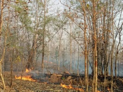 Fire in the forest of Ghoti in Nagpur district: Other wildlife hazards along with tigers | नागपूर जिल्ह्यातील घोटीच्या जंगलात वणवा : वाघांसह इतर वन्यजीव धोक्यात