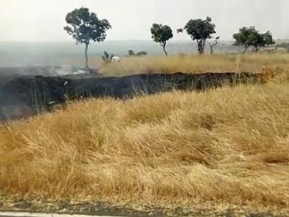 Forest fire in Karanja Sohal Wildlife Sanctuary | कारंजा सोहळ अभयारण्यात वणवा 