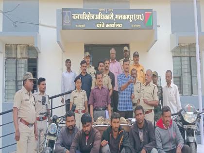 Unlicensed poaching in the forest, five arrested; Two guns seized | Crime News kolhapur: जंगलात विनापरवाना चोरटी शिकार, पाचजण अटक; दोन बंदुका जप्त