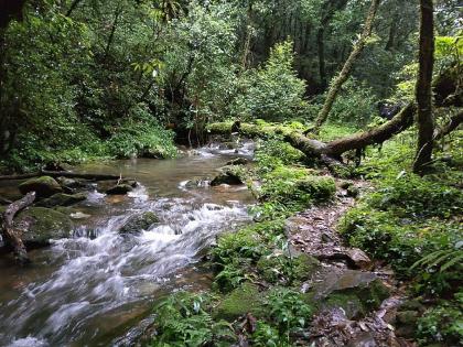 agriculture department constructed 756 forest dams during the last year | कृषी विभागाने गेल्या वर्षभरात बांधले 756 वनराई बंधारे