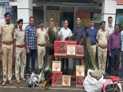 Marine creatures also sacrificed in the market of superstition! | अंधश्रध्देच्या बाजारात सागरी जीवांचाही बळी; वनविभागाचे पंचवटीत दुकानांवर छापे