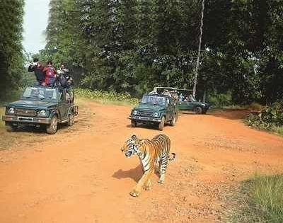 Nature tourism in trouble due to talk of lockdown extension | लॉकडाऊन वाढीच्या चर्चेमुळे निसर्ग पर्यटन अडचणीत