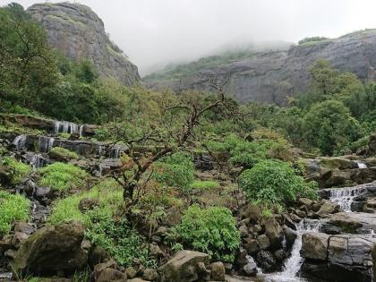 In Pune district, forest tourism places are closed after sunset; Strict action will be taken against the violators | पुणे जिल्ह्यात वन पर्यटनस्थळी सूर्यास्तानंतर बंदीच; नियमभंग करणाऱ्यांवर कठोर कारवाई होणार