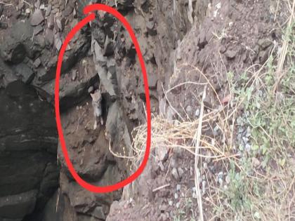 a fox spent four days sitting on the stone in the well in solapur | विहिरीतील दगडावर बसून कोल्ह्याने काढले चार दिवस 