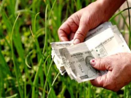 256 farmers cheated the government to get insurance money in Ratnagiri | विम्याचे पैसे मिळविण्यासाठी २५६ शेतकऱ्यांकडून शासनाची फसवणूक, रत्नागिरीतील धक्कादायक प्रकार 