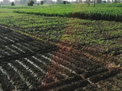 Agricultural land prices in Sangli district have increased by 150 times in 42 years | सांगली जिल्ह्यात शेतजमीनीचे दर ४२ वर्षांत दीडशे पटींनी वाढले, पिकाखालील क्षेत्र किती उरले..जाणून घ्या Agricultural land prices in Sangli district have increased by 150 times in 42 years | सांगली जिल्ह्यात शेतजमीनीचे दर ४२ वर्षांत दीडशे पटींनी वाढले, पिकाखालील क्षेत्र किती उरले..जाणून घ्या