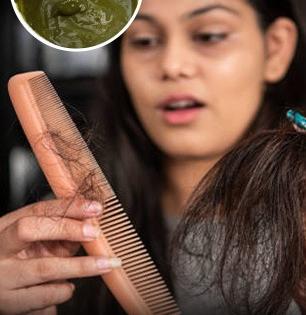 कोरड्या-खराट्यासारख्या केसांवर जादू करेल 'हा' हेअर मास्क, केस होतील मऊ, सुळसुळीत आणि काळेभोर