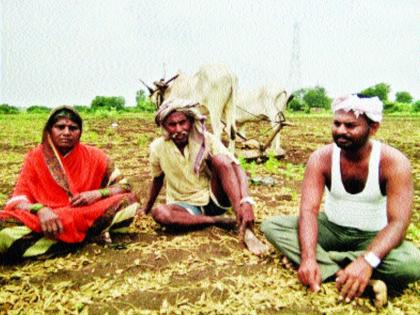 English farmer expressing sadness to the farmers who wrote 'Farmer' in farming! | शेतात राबताना ‘त्या शेतकऱ्याने’ लिहिली शेतकऱ्यांचं दु:ख मांडणारी इंग्रजी कादंबरी!