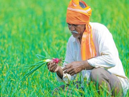 Rule of '5' for farmers' prosperity, income accounting! | दृष्टिकोन : शेतकऱ्यांच्या उत्कर्ष, उत्पन्नाच्या हिशेबासाठी ‘३०’चा नियम!