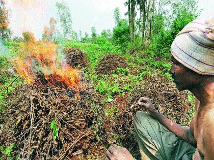 What to do with rotten beans; Anxious farmers gave in to the fire | सडलेल्या सोयाबीनला ठेवून काय करू; उद्विग्न शेतकऱ्यानं दिलं पेटवून