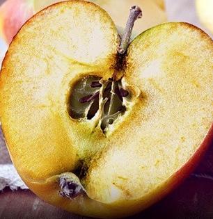 फळांच्या फोडींचा रंग बदलून खराब दिसतात ? कापून ठेवलेली फळे लिबलिबीत होऊ नयेत म्हणून करा हे ३ उपाय