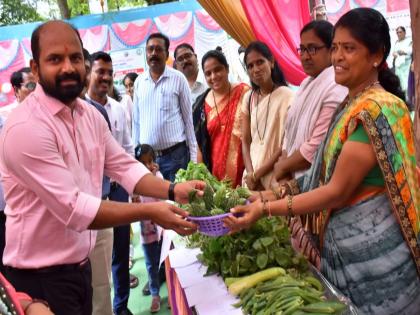 a festival of rare vegetables; Sale of wild vegetables by farmers in Akola | गावरान मेवा, दुर्मिळ भाज्यांचा महोत्सव; शेतकऱ्यांकडून रानभाज्यांची विक्री, अकोलेकराची झुंबड