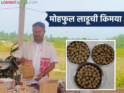 Latest News Good Profits from the 'Mohaphul Laddu' Mahua Flower Laddu Business | मोहुफुलांच्या लाडूची किमया, 50 किलो लाडूसाठी 32 हजारांचा खर्च, 50 हजारांचे उत्पन्न, वाचा सविस्तर Latest News Good Profits from the 'Mohaphul Laddu' Mahua Flower Laddu Business | मोहुफुलांच्या लाडूची किमया, 50 किलो लाडूसाठी 32 हजारांचा खर्च, 50 हजारांचे उत्पन्न, वाचा सविस्तर