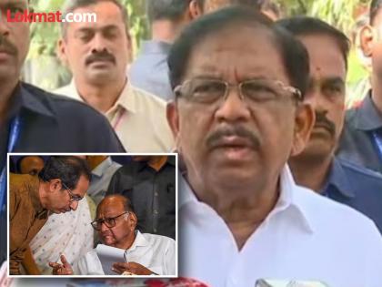 After the defeat in Maharashtra Assembly elections Congress leader said Sharad Pawar Uddhav Thackeray faction did not campaign properly | "नियोजनाप्रमाणे प्रचार केला नाही"; काँग्रेस नेत्याने शरद पवार-ठाकरेंवर फोडलं पराभवाचे खापर