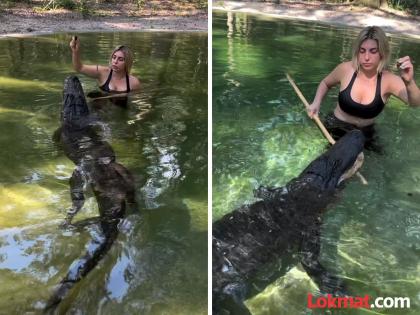 Woman giving foods with hand to massive alligator shocking video viral | मर्दानी! तलावात शिरून हाताने मगरीला भरवलं जेवण, महिलेचा खतरनाक व्हिडीओ व्हायरल....