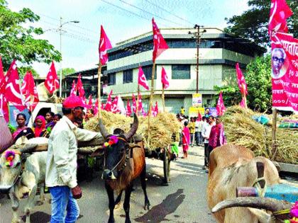 Looted by traders in the purchase of grass | गवताच्या खरेदीतही व्यापाऱ्यांकडून लूट