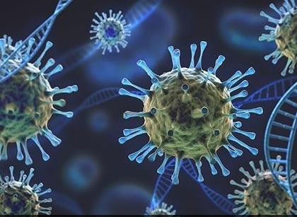 Coronavirus in Gadchiroli; Gadchiroli district has the highest mortality rate, yet active patient decline | Coronavirus in Gadchiroli; गडचिरोली जिल्ह्याचा मृत्यूदर अत्युच्च पातळीवर, तरीही सक्रिय रुग्ण घटतीवर