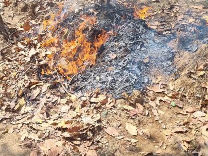 Explosives were buried in the cooker a big assassination attempt by the Naxals | कुकरमध्ये पुरुन ठेवली होती स्फोटके, नक्षल्यांचा घातपाताचा मोठा डाव