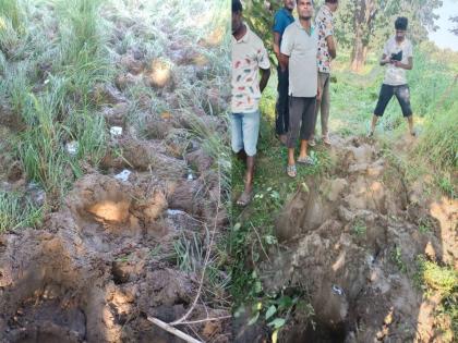 First entry of herd of wild elephants in Porla forest reserve | पोर्ला वनपरिक्षेत्रात रानटी हत्तींच्या कळपाची प्रथमच एन्ट्री; तीन गावातील धान पीक तुडविले