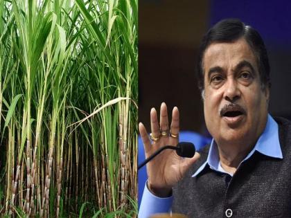 Rising sugarcane production will one day lead to farmers committing suicide Says Nitin Gadkari | साखर नव्हे, पाण्याची निर्यात; देशव्यापी मंथन घडवून आणायला हवे