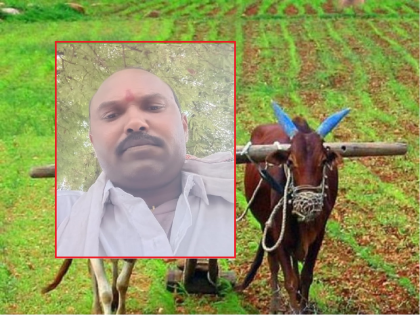 Aut got stuck in a pole while plowing; Farmer dies due to electric shock | मशागत करताना खांबाच्या तारेत औत अडकला; विद्युत धक्का बसून शेतकऱ्याचा मृत्यू 