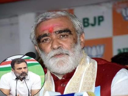 Rahul Gandhi has defamed the country says Ashwini Kumar Choubey | राहुल गांधींनी केली देशाची बदनामी - अश्विनीकुमार चौबे