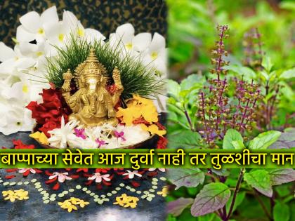 Ganesh Chaturthi 2025: Not only on Ganesh Chaturthi, Tulsi is also offered to Bappa; Why is this? Find out | Ganesh Chaturthi 2025: फक्त गणेश चतुर्थीला बाप्पाला दुर्वा नाही तर तुळस वाहतात; असे का? ते जाणून घ्या Ganesh Chaturthi 2025: Not only on Ganesh Chaturthi, Tulsi is also offered to Bappa; Why is this? Find out | Ganesh Chaturthi 2025: फक्त गणेश चतुर्थीला बाप्पाला दुर्वा नाही तर तुळस वाहतात; असे का? ते जाणून घ्या