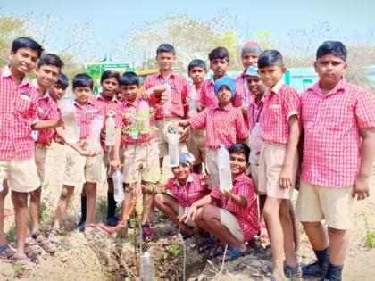 One thousand plants blooming on empty water flowing through vacant bottles | रिकाम्या बाटल्यांमधून पडणाºया थेंबभर पाण्यावर फुलू लागली एक हजार झाडे