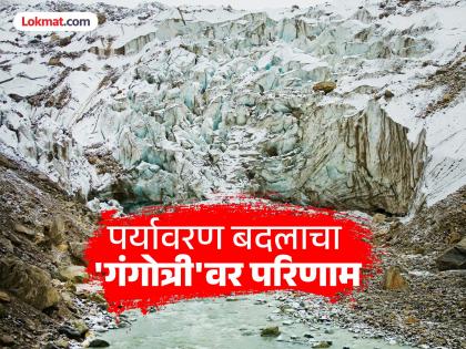 Ganga flow in danger! Gangotri glacier has melted 10 percent, water is getting less; What is the research of IIT Indore? | गंगेचा प्रवाह धोका? गंगोत्री ग्लेशियर १० टक्के वितळला, पाणी होतंय कमी; IIT इंदूरच्या संशोधनात काय? Ganga flow in danger! Gangotri glacier has melted 10 percent, water is getting less; What is the research of IIT Indore? | गंगेचा प्रवाह धोका? गंगोत्री ग्लेशियर १० टक्के वितळला, पाणी होतंय कमी; IIT इंदूरच्या संशोधनात काय?