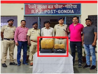 7 kg ganja seized from Puri-Surat Express | पुरी-सूरत एक्सप्रेसमधून जप्त केला ७ किलो गांजा 