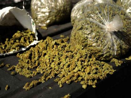 twenty-seven kg Ganja seized at manjri in the Pune | पुण्यातील मांजरी येथे सत्तावीस किलो गांजा जप्त