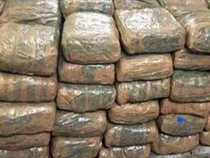 Ganja smuggling from Odisha to Maharashtra via Telangana; Inter-state gang of smugglers in Beed, goods worth half a crore seized | बीडची गांजा तस्करीतील 'पुष्पा' गँग; ओडिशातून ३ हजाराने घेऊन महाराष्ट्रात १५ हजाराने विक्री