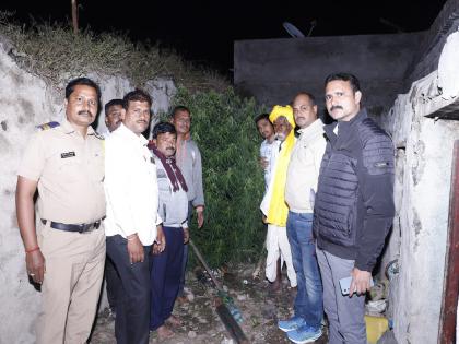 Umdi police raided Khandnal and seized ganja worth Rs 66000 | सांगली: पडक्या खोलीत गांजाची लागवड; खंडनाळात ६६ हजाराचा गांजा जप्त