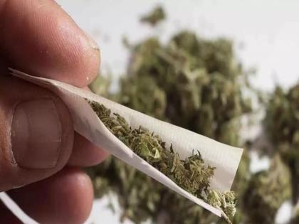 3 women from the same family found selling ganja in Pune | Pune: पुण्यात एकाच कुटुंबातील ३ महिला गांजा विकताना सापडल्या