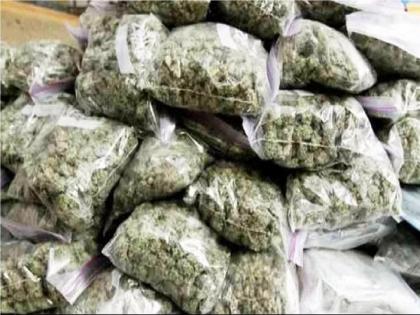 10 kg ganja worth 2.5 lakh seized in Myni satara, one arrested | Satara: मायणी येथे अडीच लाखांचा दहा किलो गांजा पकडला, एकाला अटक