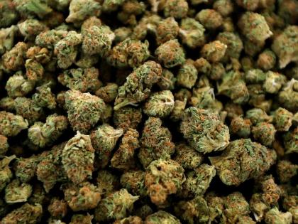 36 kg of cannabis seized three arrested | दाेन काेटींचे चरस; ३६ किलाे गांजा जप्त