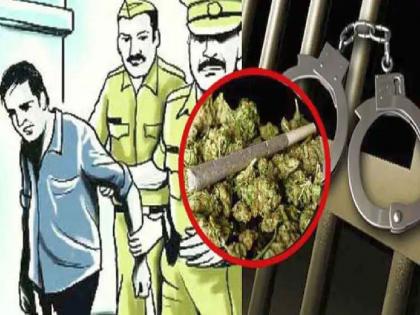 Two kilos of ganja seized from Lalkhadi Amravati, one accused arrested | लालखडीतून दोन किलो गांजा जप्त; एका आरोपीस अटक