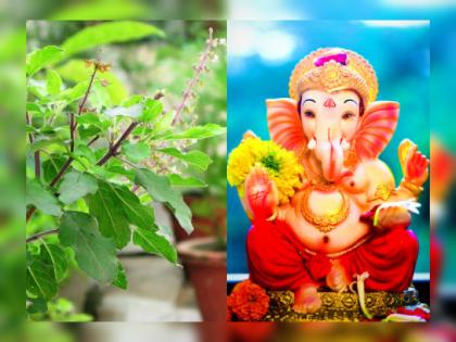 Ganesh Festival Rituals 2022: Why does Bappa who loves 'Durva' accept 'Tulshi' on Bhadrapada Chaturthi? Find out! | Ganesh Festival Rituals 2022: एरव्ही 'दुर्वा' प्रिय असलेला बाप्पा भाद्रपद चतुर्थीला 'तुळशीचा' स्वीकार का करतो? जाणून घ्या!