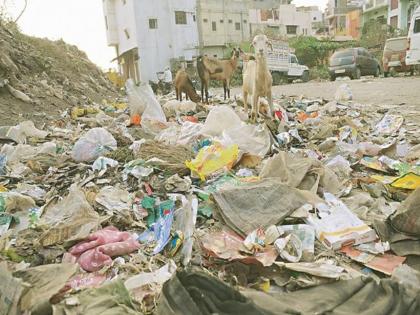 छत्रपती संभाजीनगरात १ फेब्रुवारीपासून नवीन कंपनी कचरा उचलणार; सध्या सर्वेक्षण सुरू