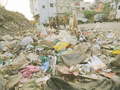 Now we have to separate wet and dry waste; Otherwise 500 rupees fine! | आता ओला-सुका कचरा वेगळा करावाच लागेल; अन्यथा ५०० रुपये दंड!