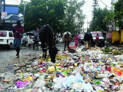 No wages, garbage lifting off houses | वेतन मिळाले नाही, घरांमधून कचरा उचल बंद