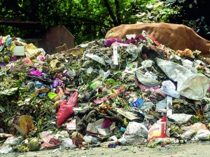 Trash disappears from Nagpur; Dirt scattered on the streets | नागपुरातून कचरागाड्या गायब; रस्त्यांवर पसरली घाण